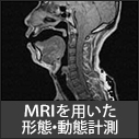 MRIを用いた形態・動態計測